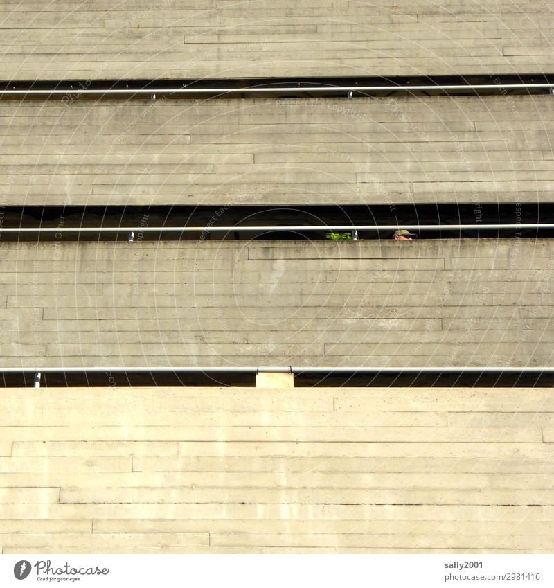 Balkonien... Beton Betonbauweise Haus Fassade trist grau Pflanze Hochhaus Architektur modern armut kalt bedrohlich Betonwand Gebäude Betonmauer Betonwüste