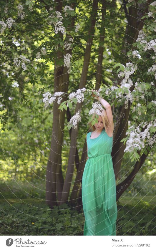 Grüne Elfe Mensch Junge Frau Jugendliche Frühling Sommer Baum Sträucher Blüte Kleid blond Gefühle Stimmung Liebe Verliebtheit Romantik Märchen Farbfoto