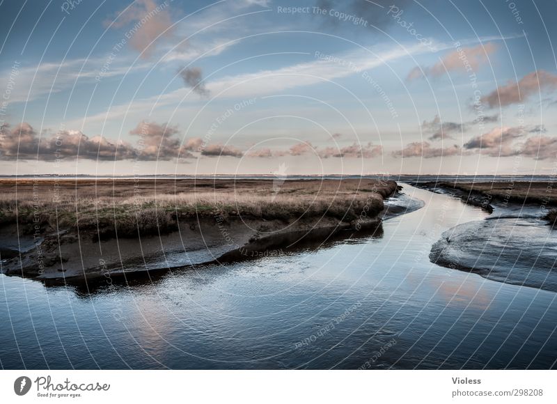 Rømø | ...fairytale Natur Landschaft Wolken Küste Nordsee Insel Moor Sumpf Wattenmeer Erholung frei Unendlichkeit ruhig Sehnsucht Fernweh entdecken Farbfoto