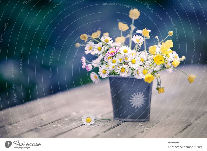 ein Stück Wiese Dekoration & Verzierung Muttertag Natur Frühling Blume Blüte Wildpflanze Gänseblümchen Hahnenfuß Frühlingsblume Wiesenblume Blumenstrauß Vase