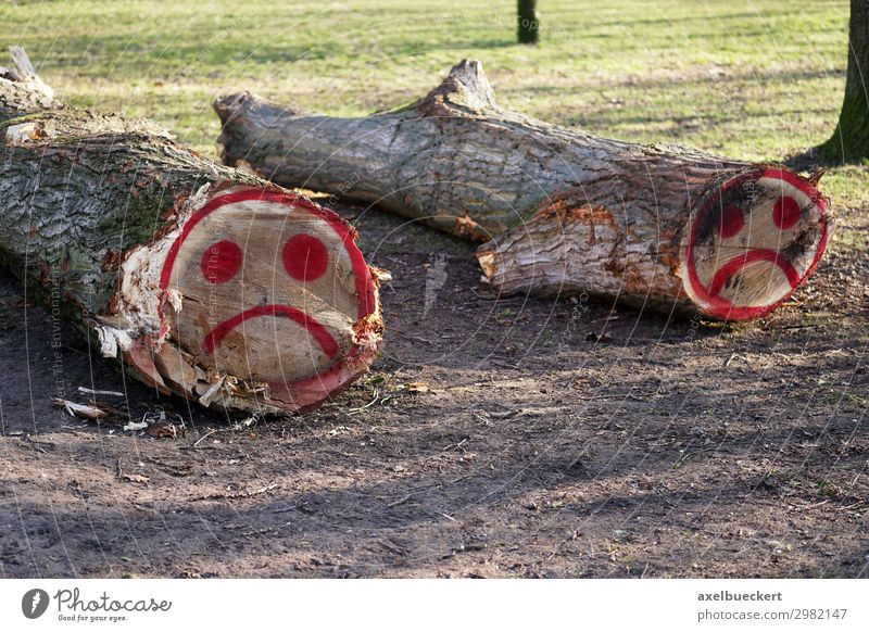 gefällte Baumstämme mit traurigem Smiley Graffiti Umwelt Natur Landschaft Park Wald Zeichen Traurigkeit Trauer Baumstamm gefallen Holz Holzwirtschaft