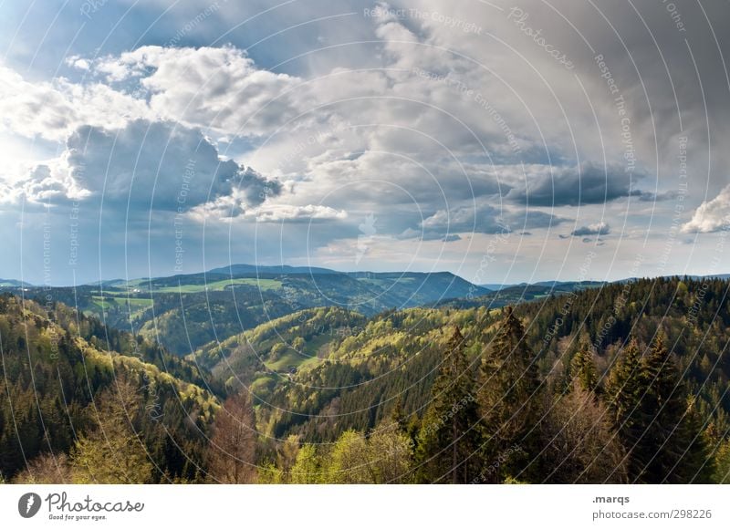 Schwarzwald Tourismus Ausflug Ferne Sommer Berge u. Gebirge wandern Umwelt Natur Landschaft Pflanze Urelemente Himmel Wolken Klima Klimawandel Wald schön