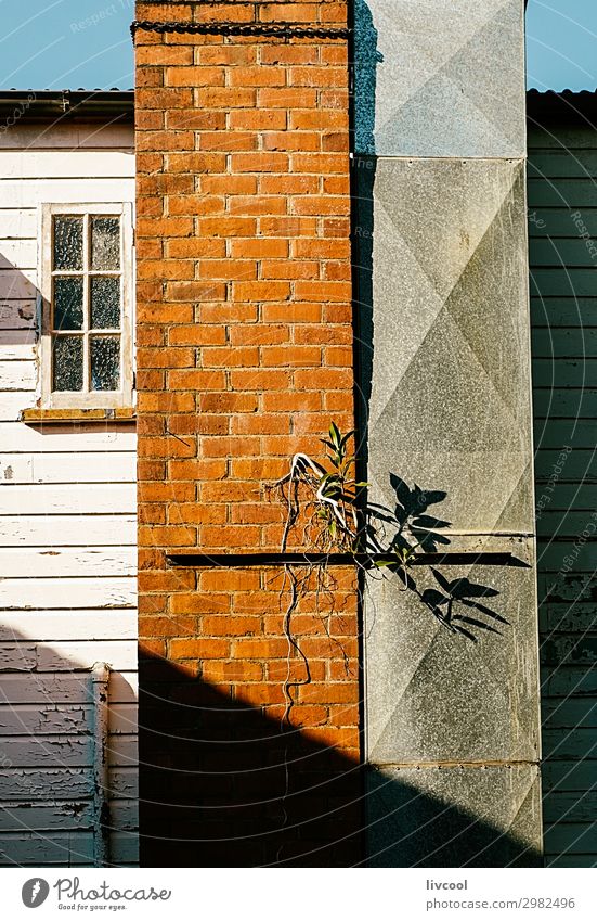 Fassade mit Schatten, yungaburra Lifestyle Haus Pflanze Blume Dorf Stadt Gebäude Architektur Mauer Wand Fenster Straße alt Freundlichkeit niedlich blau orange