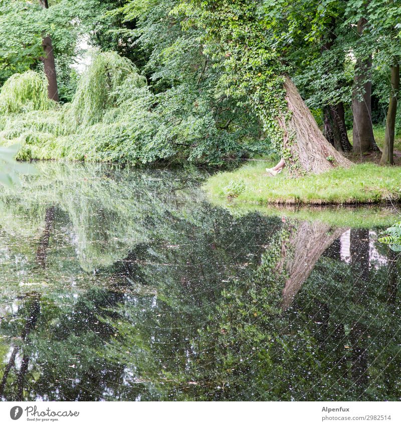 wertvoll | Natur Umwelt Landschaft Pflanze Wasser Baum Sträucher Garten Park See Beginn ästhetisch Zufriedenheit Einsamkeit Ewigkeit Frieden geheimnisvoll