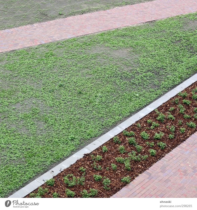 Gartenbaukunst Gras Beet Park Wiese Wege & Pfade Ordnung Farbfoto Außenaufnahme abstrakt Muster Strukturen & Formen Menschenleer Textfreiraum links