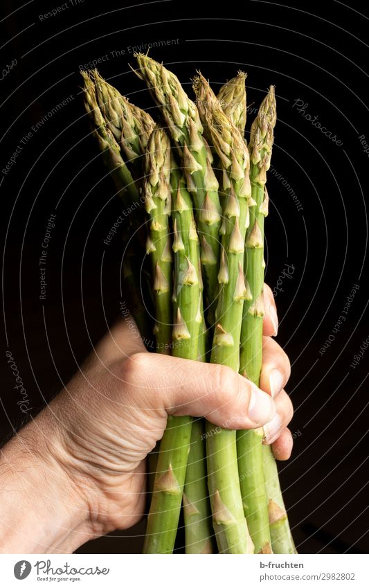 ein Bund grüner Spargel Lebensmittel Gemüse Ernährung Bioprodukte Vegetarische Ernährung Gesunde Ernährung Koch Mann Erwachsene Hand Finger Sommer