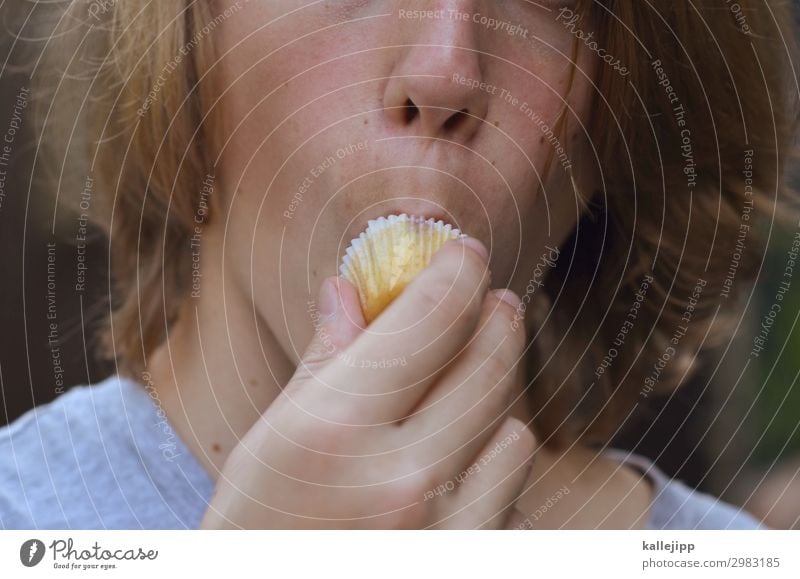 schleckermaul Lebensmittel Kuchen Süßwaren Essen Mensch Kind Junge Kindheit Jugendliche Kopf Haare & Frisuren Gesicht Nase Mund Lippen 1 Muffin süß Tortenstück