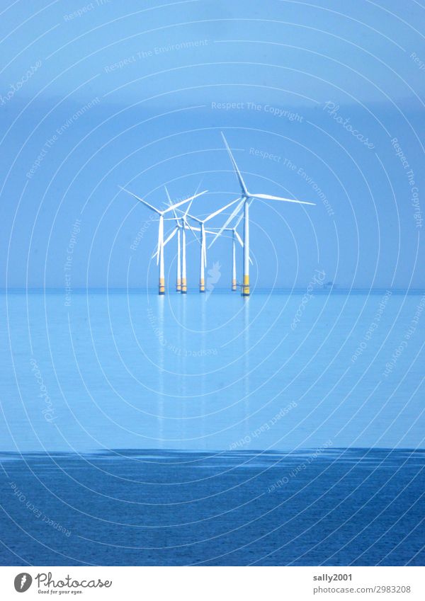 Strom von draußen... Energiewirtschaft Erneuerbare Energie Windkraftanlage Wolkenloser Himmel Schönes Wetter Meer drehen stehen Ferne maritim nachhaltig