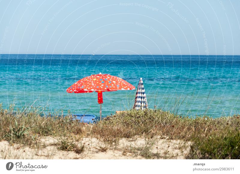 Urlaub am Meer Schönes Wetter Sonnenlicht Sommerferien Ferien & Urlaub & Reisen erholen Sonnenschirm heiß Himmel Urlaubsstimmung Strand