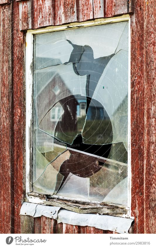 Er war da am Werk! Ferien & Urlaub & Reisen Fischereiwirtschaft Dänemark Fischerhütte Fenster Glas Aggression kaputt braun schwarz weiß Gefühle Freude Wut dumm