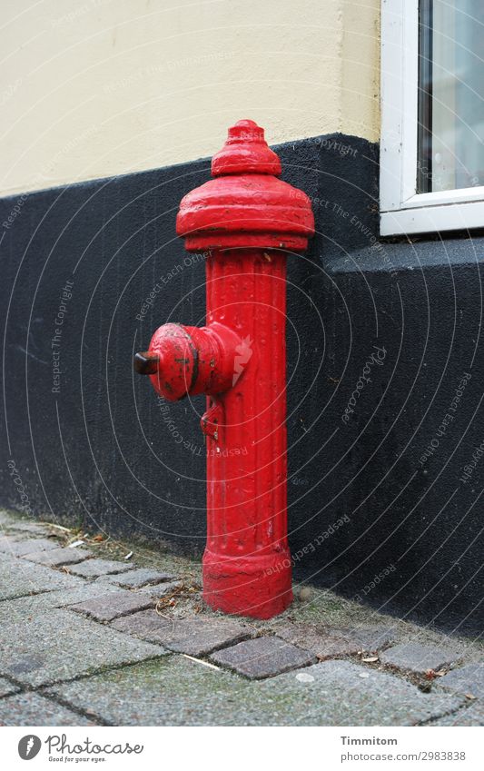 Ein Männlein steht... Ferien & Urlaub & Reisen Dänemark Kleinstadt Mauer Wand Fenster Straße Hydrant Metall warten ästhetisch grau rot schwarz Gefühle