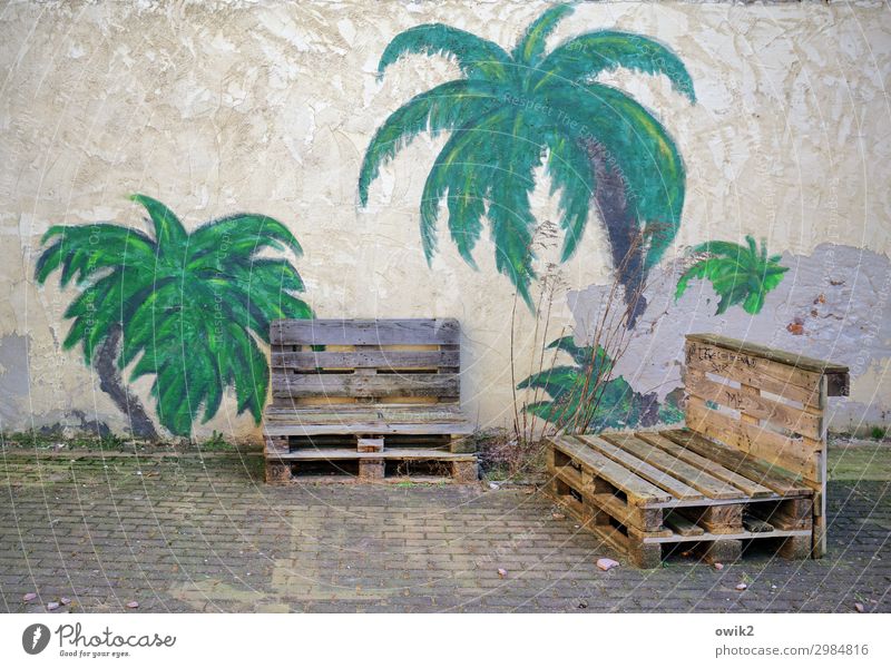 Urlaub unter Palmen Freizeit & Hobby Ferien & Urlaub & Reisen Tourismus Ferne Sommerurlaub Strand Kunstwerk Gemälde Wandmalereien Pflanze Schönes Wetter