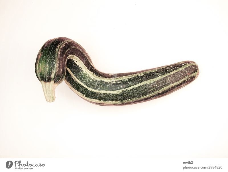 Quietschentchen Sommer Zucchini Frucht fest Gesundheit lang gekrümmt Unikat grün gestreift Vitamin Gesunde Ernährung Gemüse Farbfoto Innenaufnahme Menschenleer