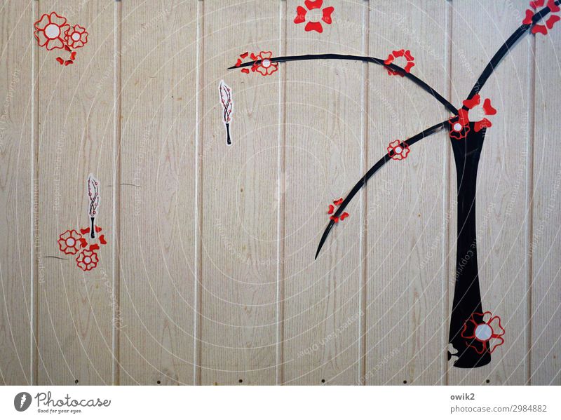 Baumblüte Blüte Holzwand Etikett einfach braun rot schwarz schemenhaft karg sparsam Farbfoto Innenaufnahme Detailaufnahme abstrakt Muster Strukturen & Formen