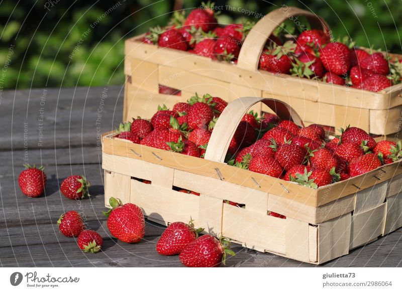Erdbeer-Traum Sommer Schönes Wetter lecker Erdbeeren Korb Garten frisch Gesunde Ernährung Vegane Ernährung rot Frucht Gesundheit Juni Feldfrüchte natürlich