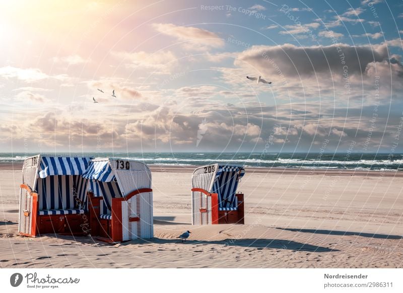 Strandkörbe an der Nordsee Ferien & Urlaub & Reisen Tourismus Sommer Sommerurlaub Sonne Sonnenbad Meer Wellen Sand Wasser Himmel Wolken Schönes Wetter Ostsee