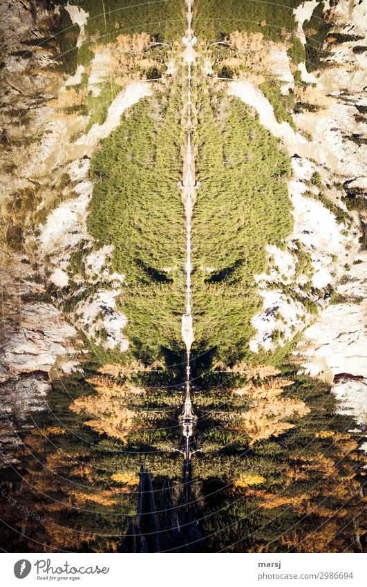 großes Monster Natur Herbst Baum Lärche Seeufer außergewöhnlich gruselig hässlich natürlich Angst Todesangst Ekel bedrohlich Gefühle Surrealismus Symmetrie