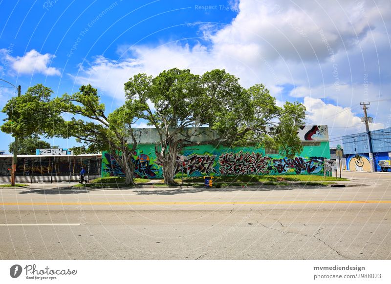 Graffiti Umwelt Natur ästhetisch Glück modern schön Baum Wynwood Walls Miami Downtown USA Florida Farbfoto