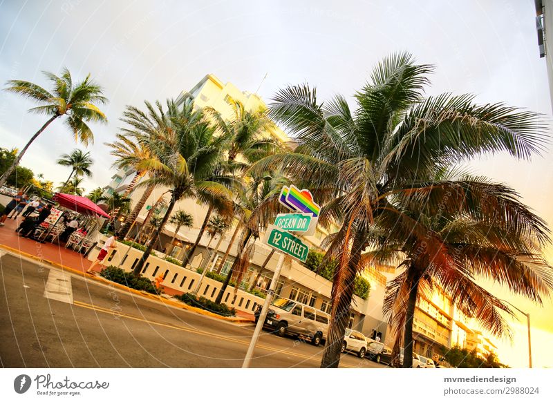 Gay Ocean Drive Stadtzentrum Straße Straßenkreuzung Wegkreuzung trendy verrückt seriös Erotik mehrfarbig Homosexualität Miami Miami Beach USA Palme Restaurant