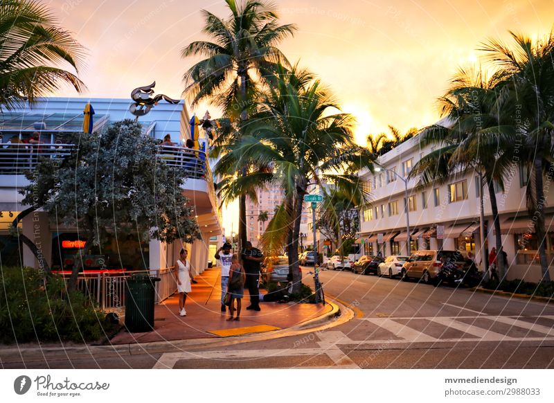 Miami Beach Stadt Stadtzentrum Straße Straßenkreuzung trendy Wärme Palme Mensch Sonnenuntergang Farbfoto Außenaufnahme