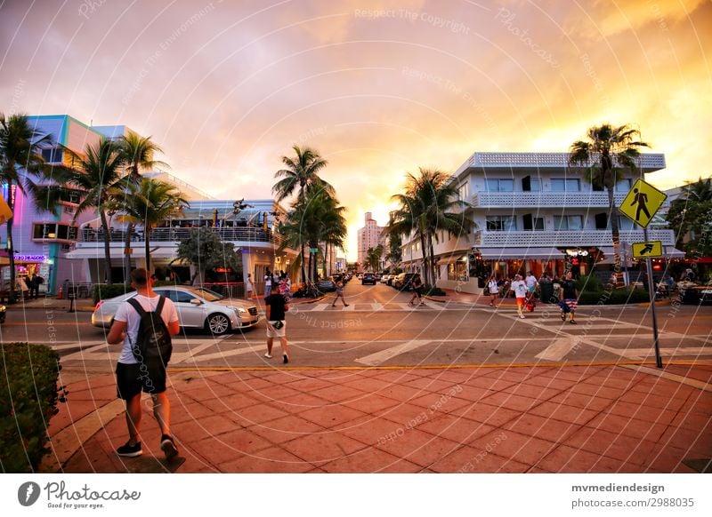 Miami Beach - Ocean Drive Mensch maskulin Straße Wärme Sonnenuntergang USA Palme Strand Restaurant Party Farbfoto Außenaufnahme