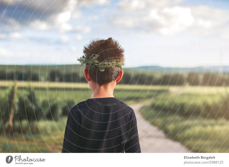 kleiner Junge blickt auf eine Landschaft ruhig wandern Mensch Kind Kleinkind Kindheit Leben Rücken 3-8 Jahre Natur Sonne Schönes Wetter Feld Dorf Blumenkranz