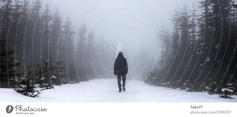 Winterwanderer wandern Umwelt Natur Landschaft Pflanze Tier Eis Frost Schnee Schneefall Abenteuer Mann Außenaufnahme Gedeckte Farben Dämmerung