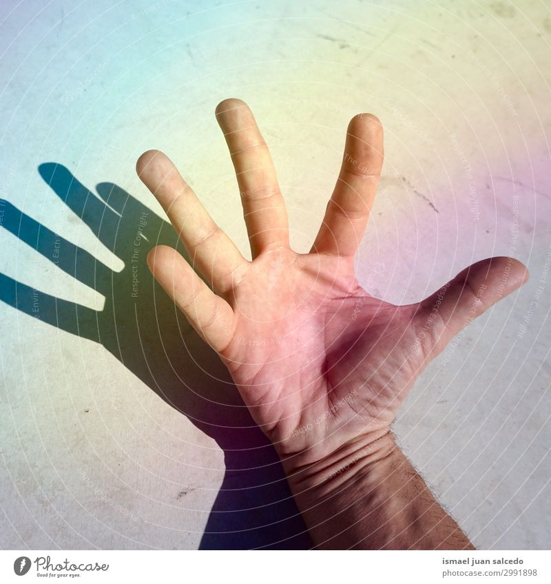 Mann Hand Schatten Silhoette an der Wand Finger Handfläche Körperteil Handgelenk Arme Haut Mensch Lichterscheinung Sonnenlicht Silhouette gestikulieren Entwurf
