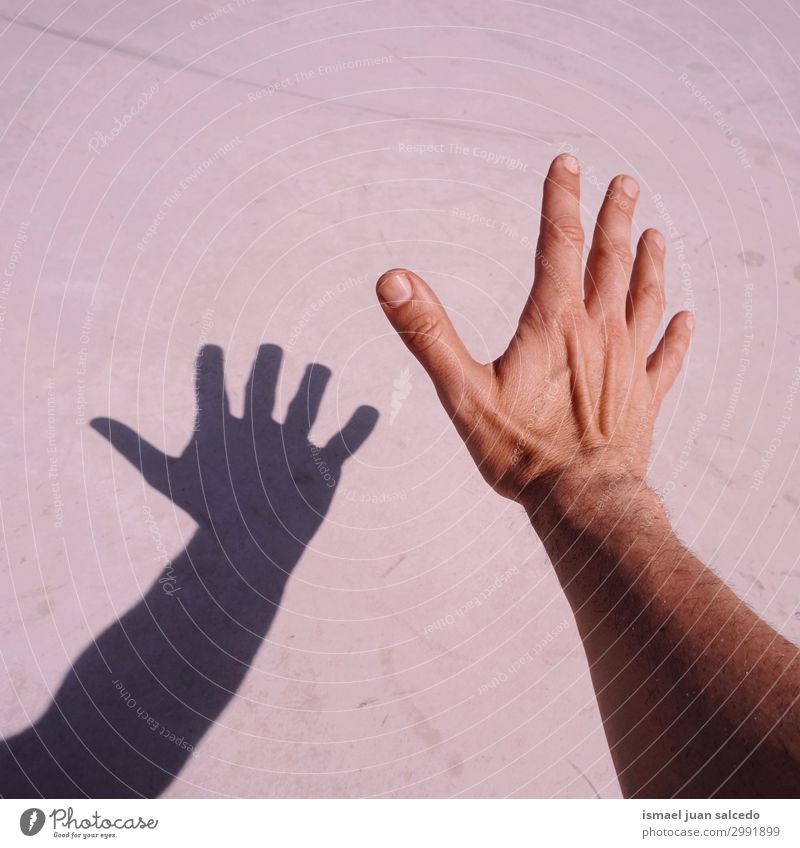 Mann Hand Schatten Silhouette auf dem Boden Finger Handfläche Körperteil Handgelenk Arme Haut Mensch Lichterscheinung Sonnenlicht gestikulieren Entwurf