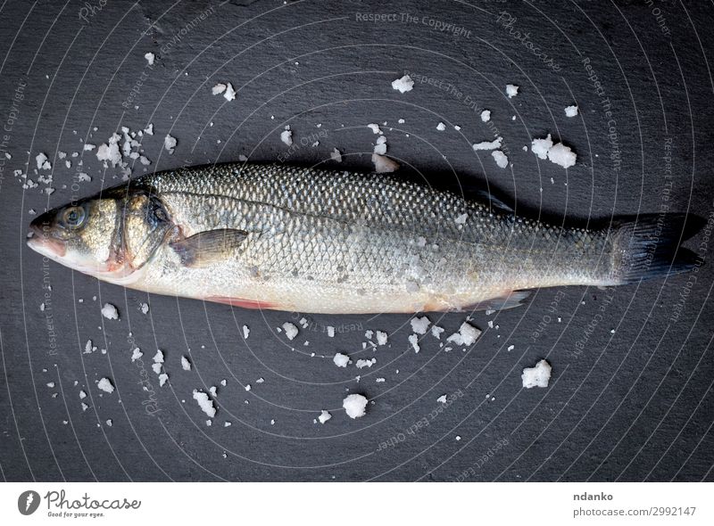 frischer ganzer Seebarschfisch mit Salz Fleisch Fisch Meeresfrüchte Ernährung Tisch Gastronomie Natur Tier Essen dunkel natürlich wild schwarz weiß Bass fangen
