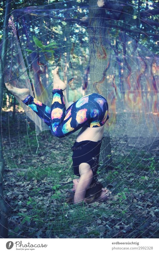 Open Air Yoga sportlich Fitness Leben feminin Körper 18-30 Jahre Jugendliche Erwachsene Sommer Baum Sträucher Moos Leggings atmen trashig mehrfarbig Gesundheit