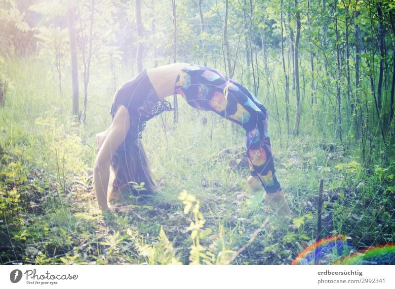 Brücke im Wald sportlich Fitness Leben Yoga feminin Körper 18-30 Jahre Jugendliche Erwachsene Natur Sonnenlicht Baum Gras Sträucher Leggings Sport trendy