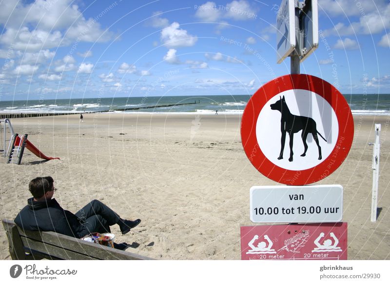 Doggies verboten Niederlande Strand Meer Holzpfahl Ebbe Schilder & Markierungen Einsamkeit Langeweile Wasser Sand Himmel Flut Hunde verboten warten Bank sitzen