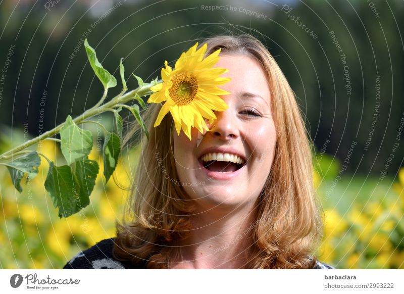 Sonnige Frau mit Sonnenblume feminin Erwachsene 1 Mensch Sommer Blume Sonnenblumenfeld blond langhaarig Blühend lachen Wachstum Fröhlichkeit Gefühle Stimmung