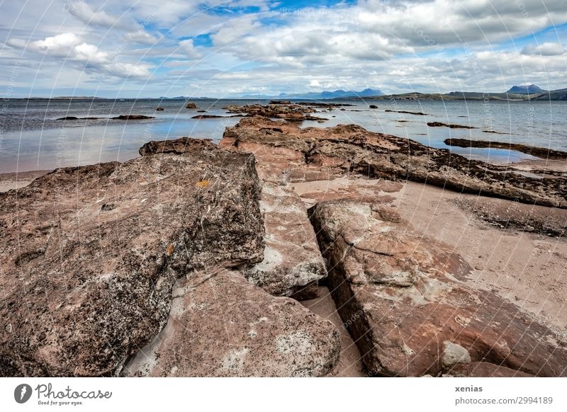 schottische Küste Ferien & Urlaub & Reisen Sommer Sommerurlaub Strand Meer Natur Landschaft Wolken Frühling Klima Klimawandel Schönes Wetter Schottland Stein