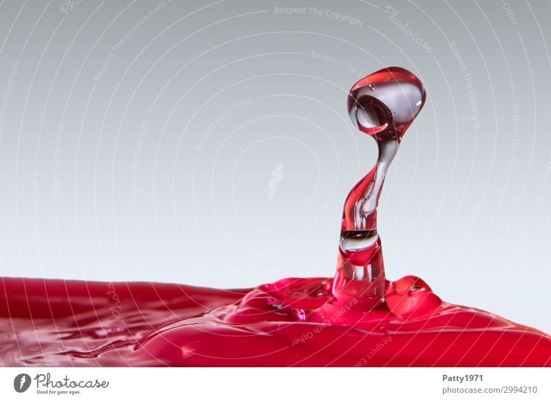 Wasserskulptur Wassertropfen Flüssigkeit glänzend nass Sauberkeit grau rot Bewegung bizarr Kreativität skurril abstrakt Splash durchsichtig Farbfoto