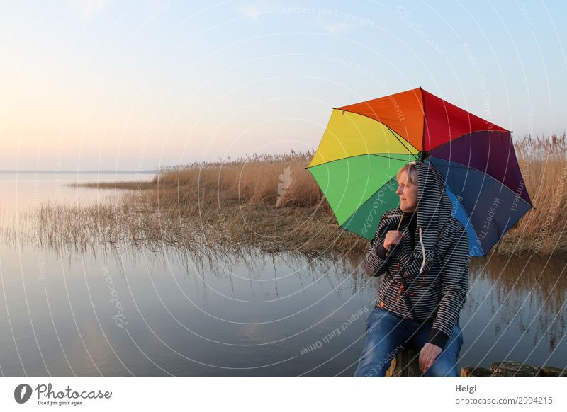 Frau sitzt mit einem bunten Schirm im Abendlicht am See Mensch feminin Erwachsene Weiblicher Senior 1 60 und älter Umwelt Natur Landschaft Pflanze Wasser