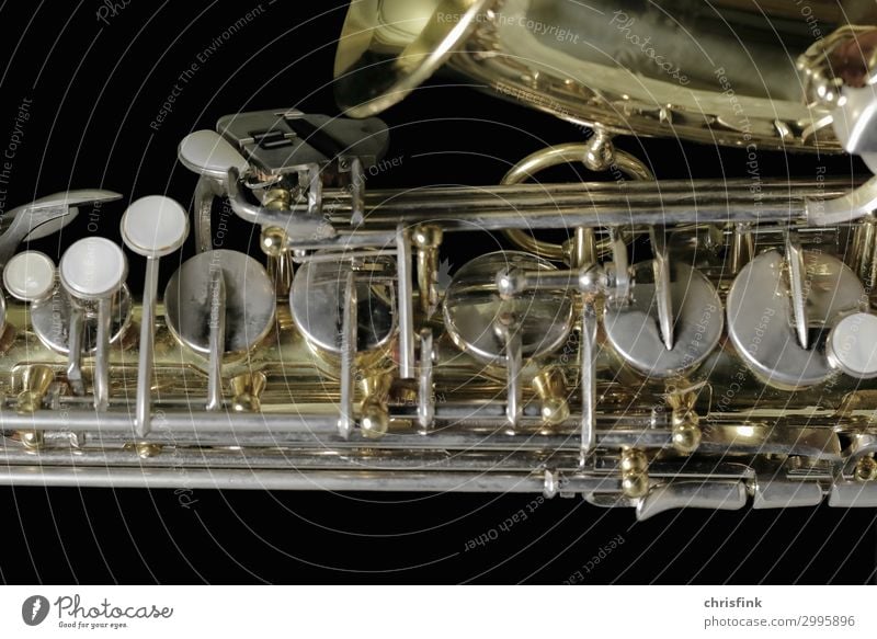 Saxophon Kunst Musik Bühne Orchester ästhetisch elegant Leidenschaft Sex Sexualität Ton Klappe Blasinstrumente Blech Messing Farbfoto Gedeckte Farben