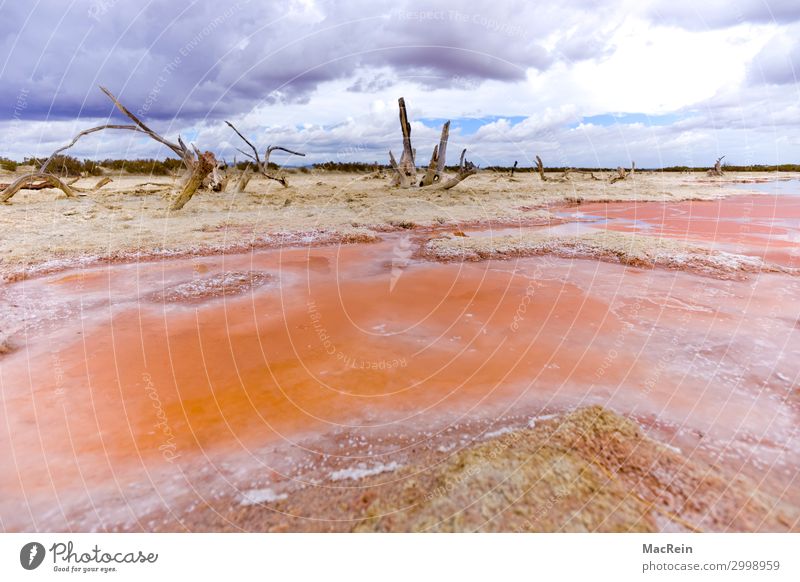 Salinen Umwelt Natur Landschaft Sommer Sand orange Stress Einsamkeit Ende Zerstörung Salz abbaubar fördern Rohstoffe & Kraftstoffe Meerwasser Farbfoto