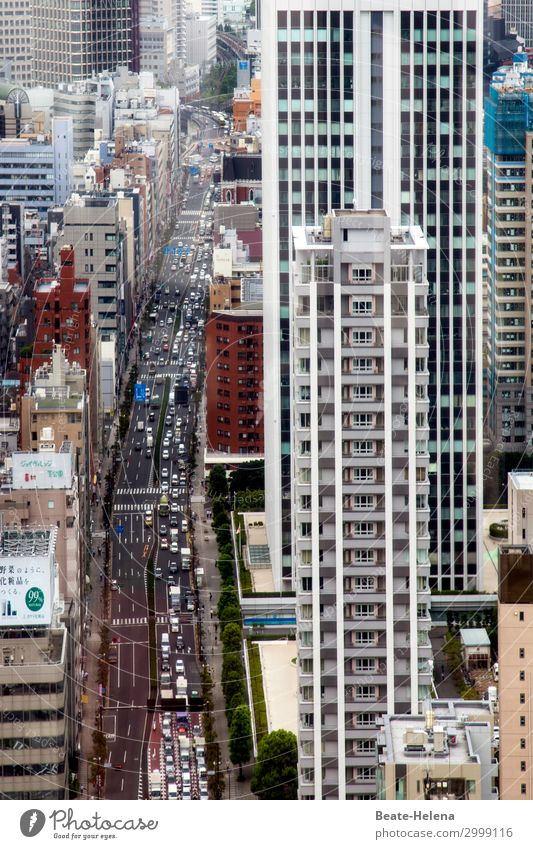 Metropole Tokio Lifestyle kaufen Ferien & Urlaub & Reisen Häusliches Leben Wohnung Haus Tokyo Japan Asien Hauptstadt Hafenstadt Stadtzentrum Fußgängerzone