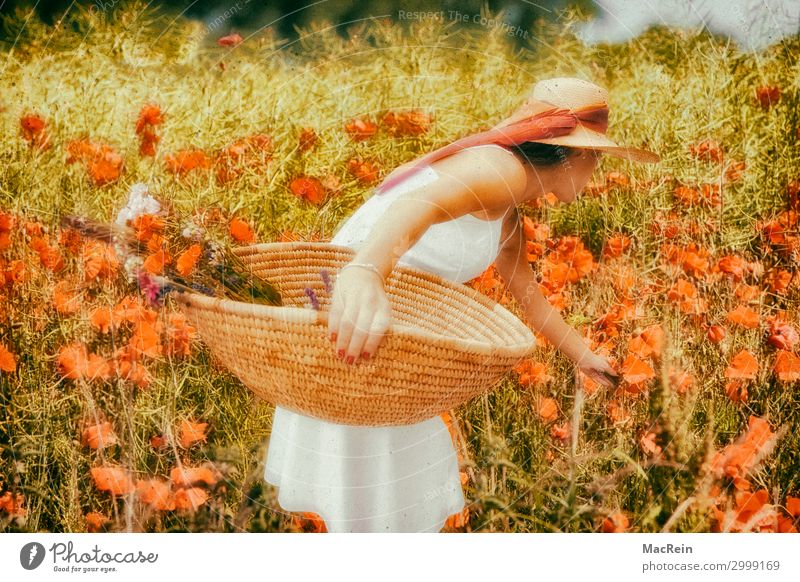 Frau im Mohnfeld schön Sommer Sonne Mensch feminin Erwachsene 18-30 Jahre Jugendliche Natur Landschaft Pflanze Wolken Blume Gras Feld Kleid Hut hell grün weiß