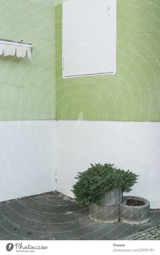 Ecke mit Flora Menschenleer Haus Bauwerk Gebäude Architektur grau grün weiß Beton Pflanze Pflanzenteile Markise Klappe Sträucher Zierpflanze Versuch Farbfoto