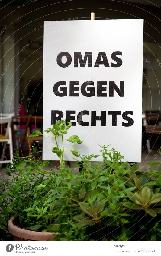 Schild mit der Aufschrift " Omas gegen Rechts " Antifaschismus Entschlossenheit rebellisch statement Senior Schriftzeichen Mut Einigkeit Verantwortung
