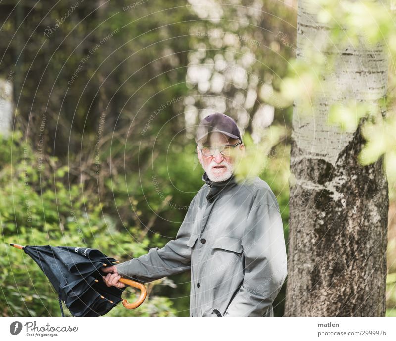 Richtungssuche maskulin Männlicher Senior Mann 1 Mensch 60 und älter Pflanze Baum Sträucher Wald laufen wandern Schirm Richtungswechsel zeigen Farbfoto