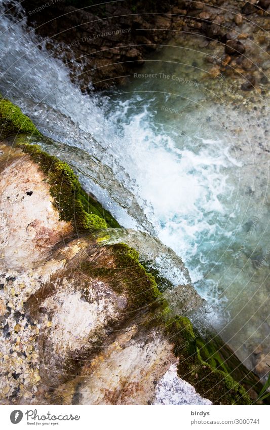 Wasserfall Urelemente Wassertropfen Sommer Fluss fallen glänzend authentisch Flüssigkeit frisch natürlich positiv wild Bewegung Klima Natur rein Überleben