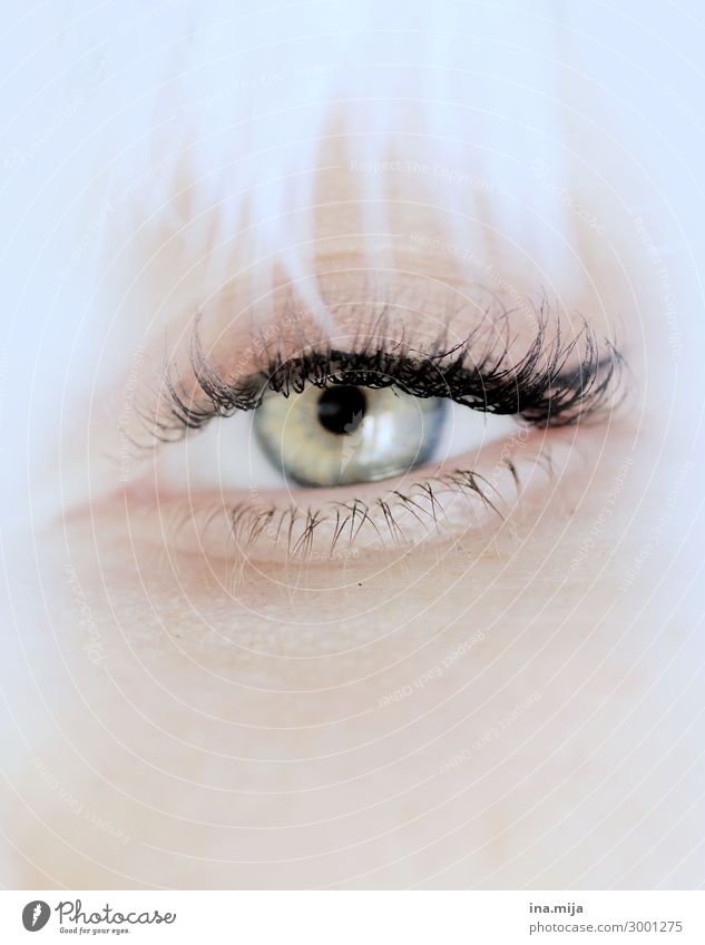 Wimpern und Auge mit Lidstrich elegant Stil schön Körperpflege Haut Gesicht Kosmetik Schminke Mensch feminin Junge Frau Jugendliche grün weiß Augenfarbe