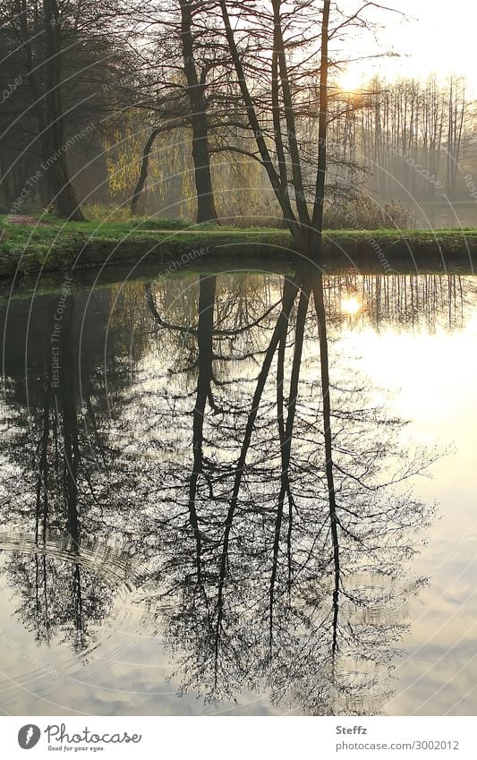 luftig | Spiegelung im Wasser ruhiges Wasser Stille Ruhe Novemberlicht November-Melancholie erholend beruhigend See Novemberbild Novemberblues Wetter Teich