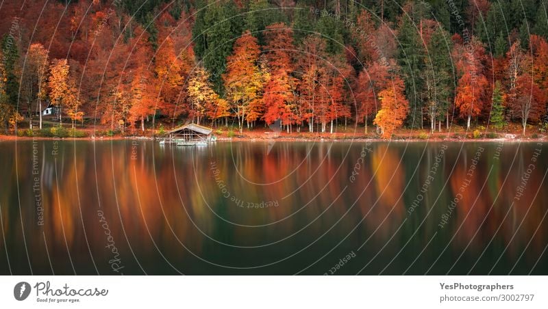 Herbstliche Wald- und Wasserspiegelung Panoramablick ruhig Ferien & Urlaub & Reisen Umwelt Natur Landschaft Baum Blatt See Holz grün rot Farbe Deutschland