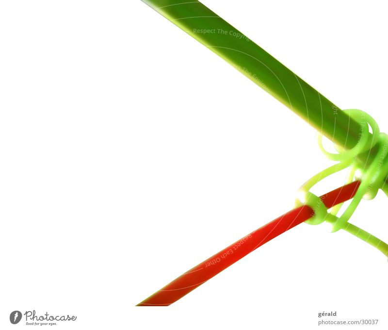 Naturgrafik Pflanze Stengel Makroaufnahme rot grün weiß Grafik u. Illustration