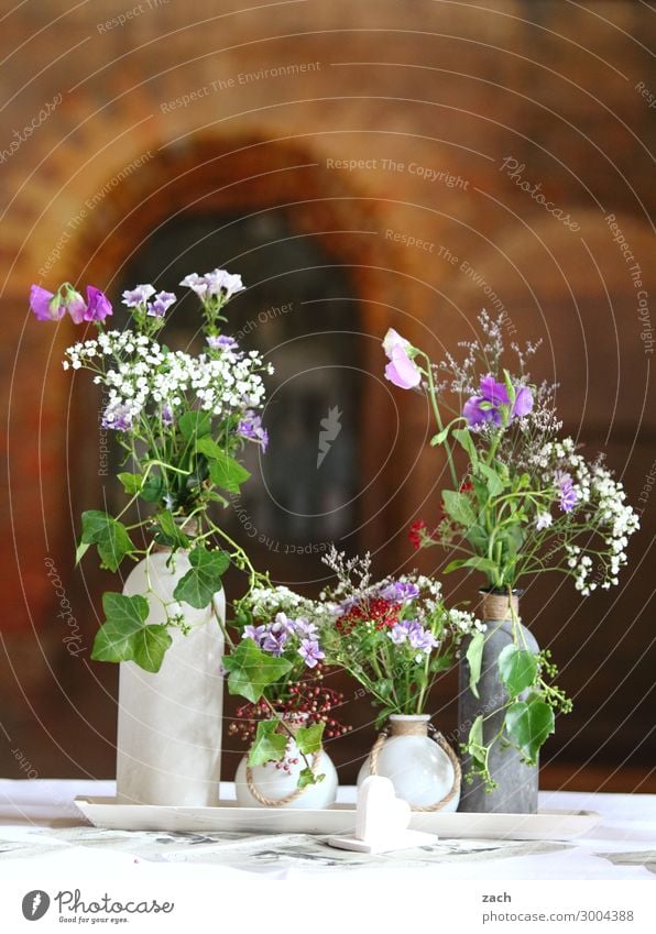 blumig Dekoration & Verzierung Feste & Feiern Hochzeit Geburtstag Pflanze Blume Blüte Vase Blumenvase Blühend Duft verblüht Wachstum braun mehrfarbig Stimmung